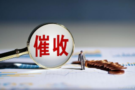 云安企业清欠服务